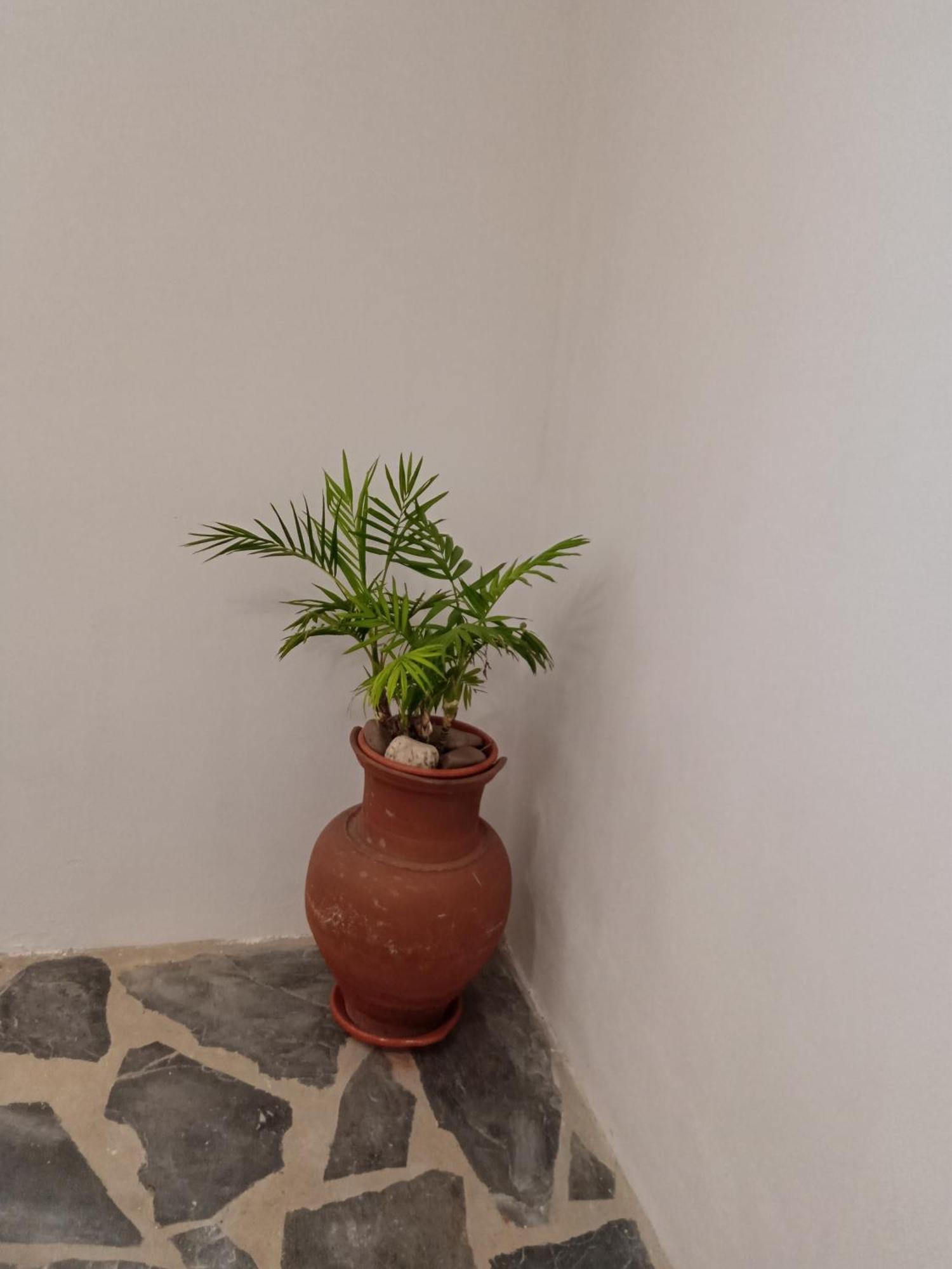 Quintinha Dos Pombinhos Villa Montoito Exterior foto