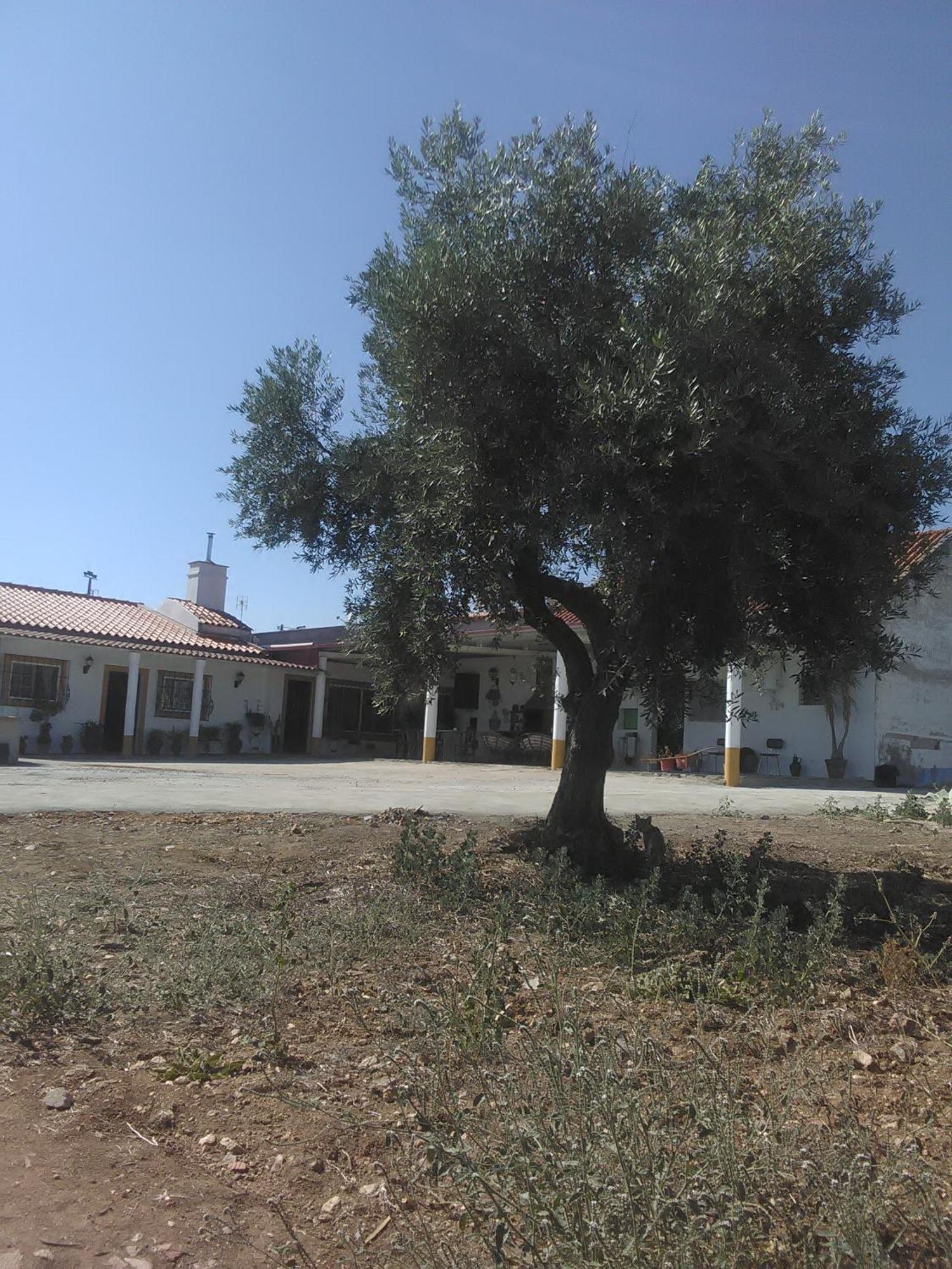 Quintinha Dos Pombinhos Villa Montoito Exterior foto