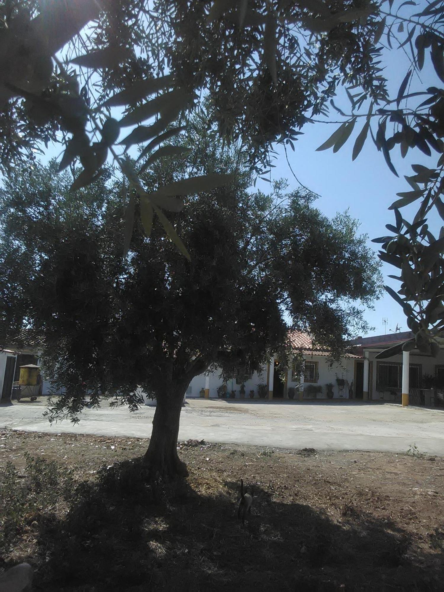 Quintinha Dos Pombinhos Villa Montoito Exterior foto